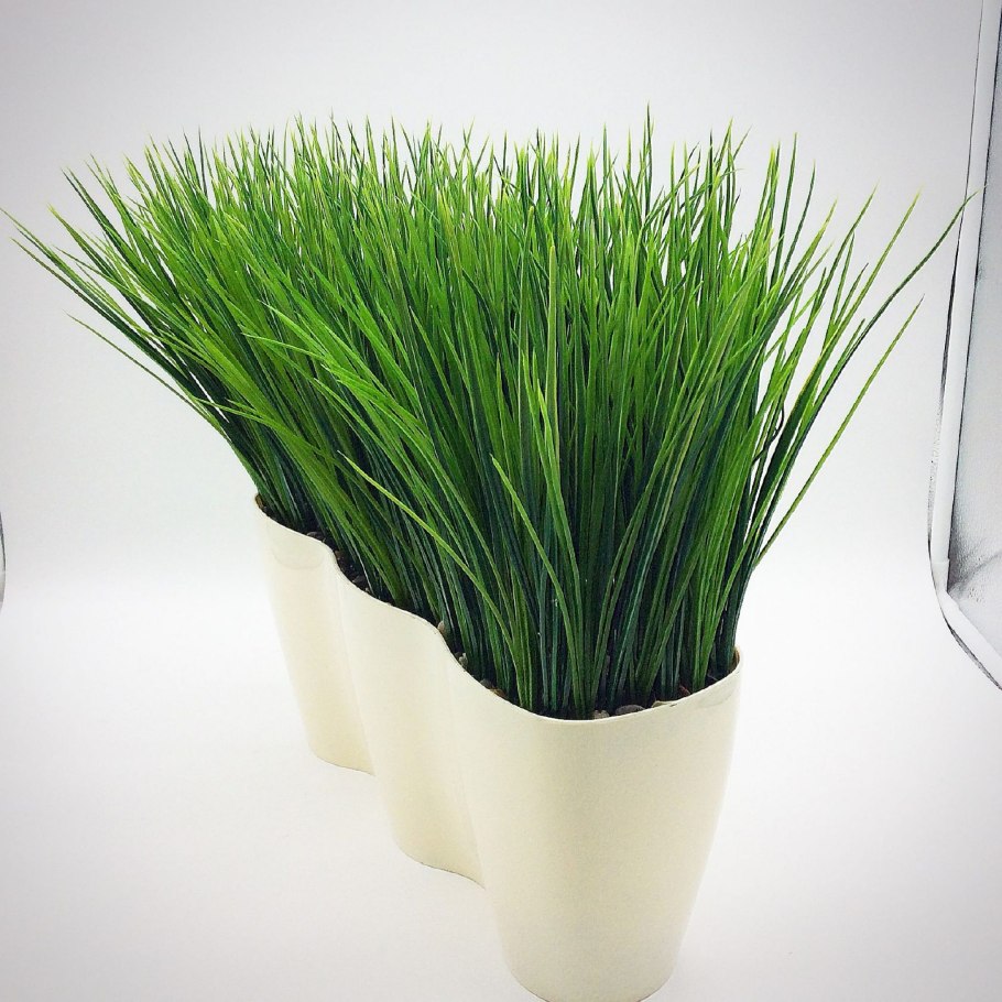 Трава Ванилла Грасс зелёная