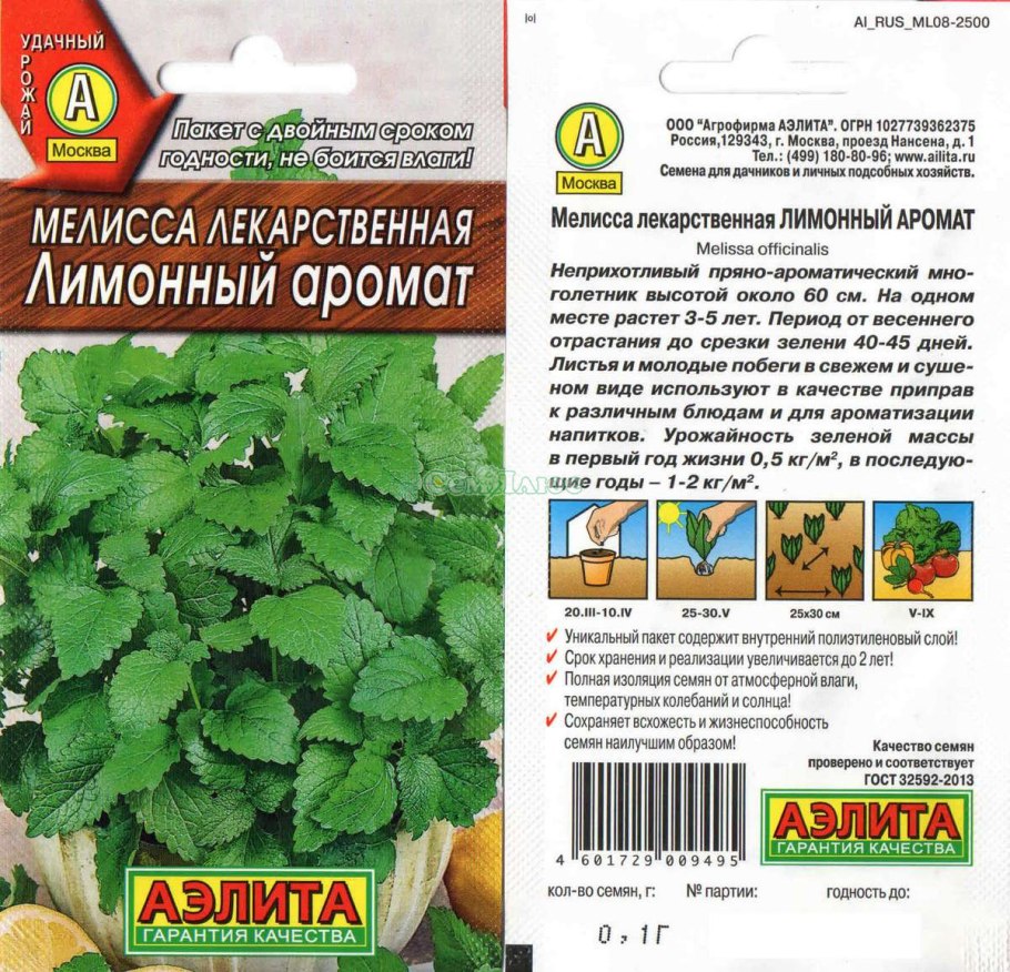 Мелисса сорт лимонный аромат
