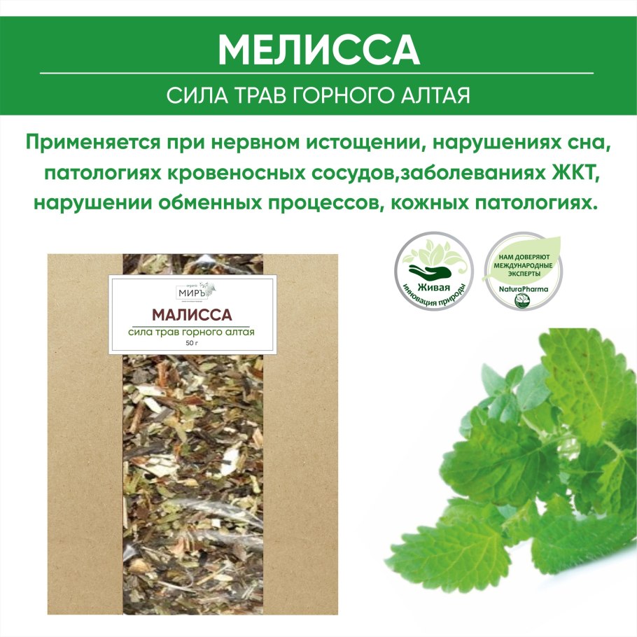 Мелисса лекарственная холодок Аэлита