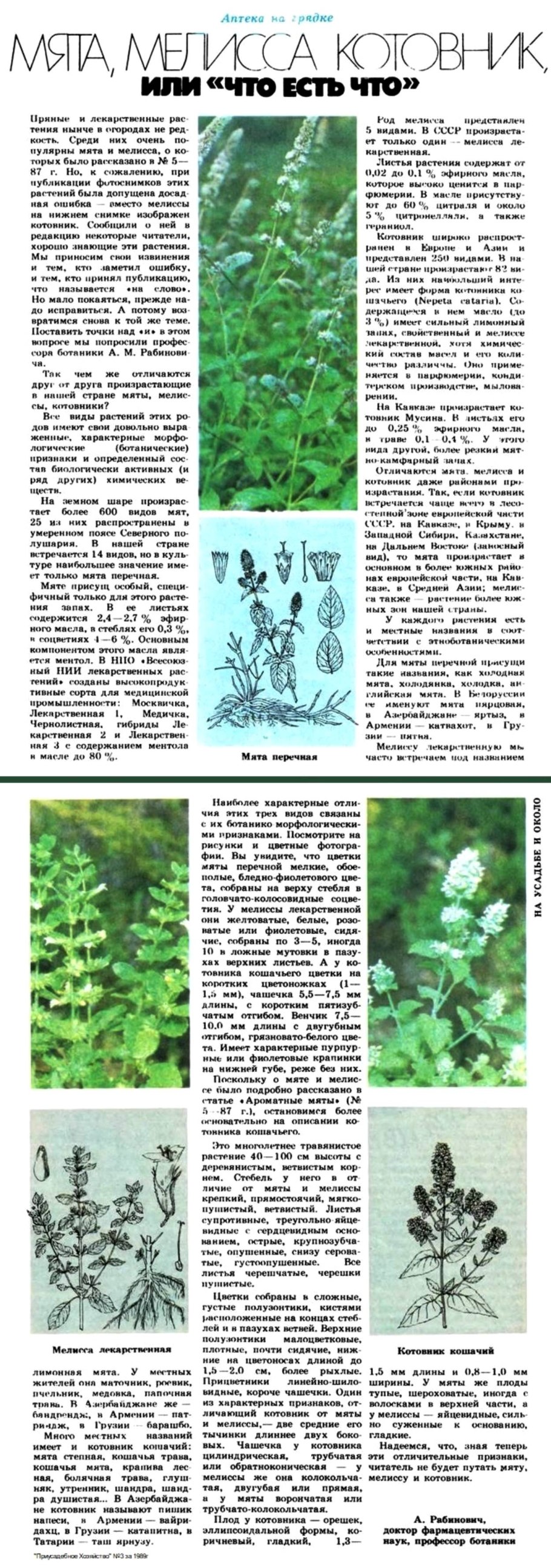Мята Мелисса лимонник семена