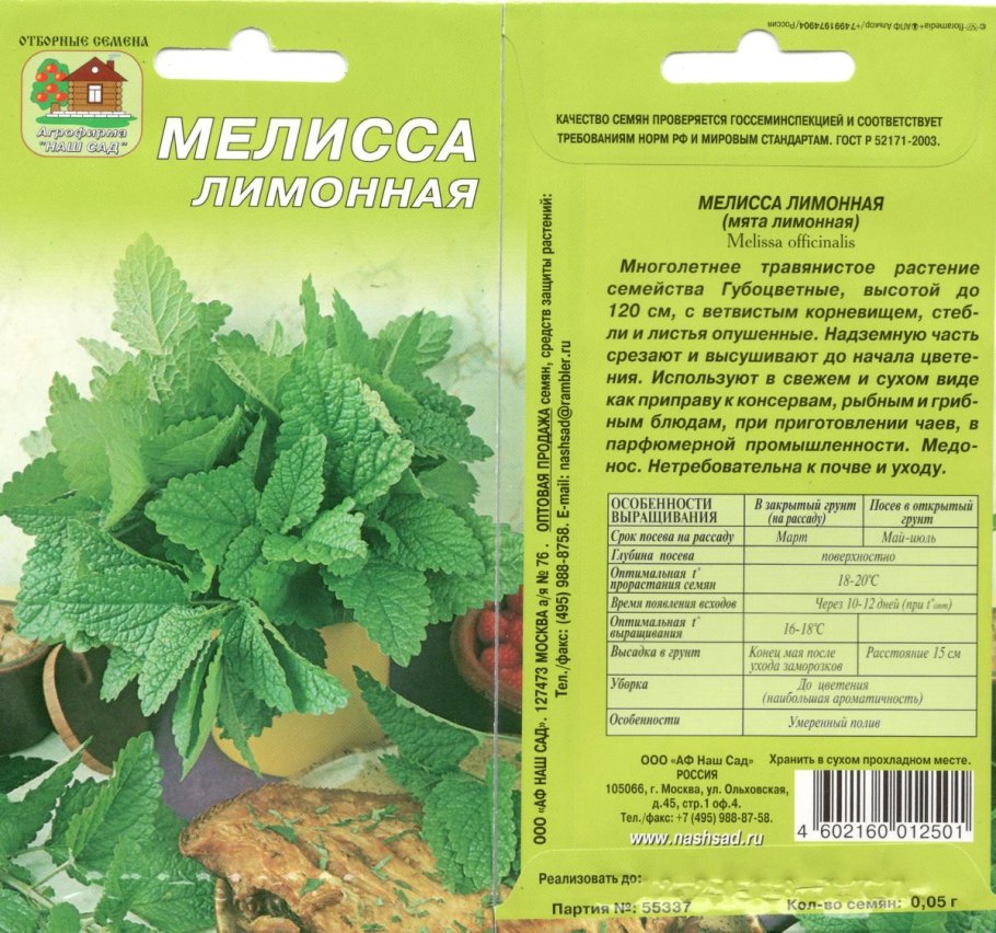 Мелисса Мохито лекарственная Аэлита