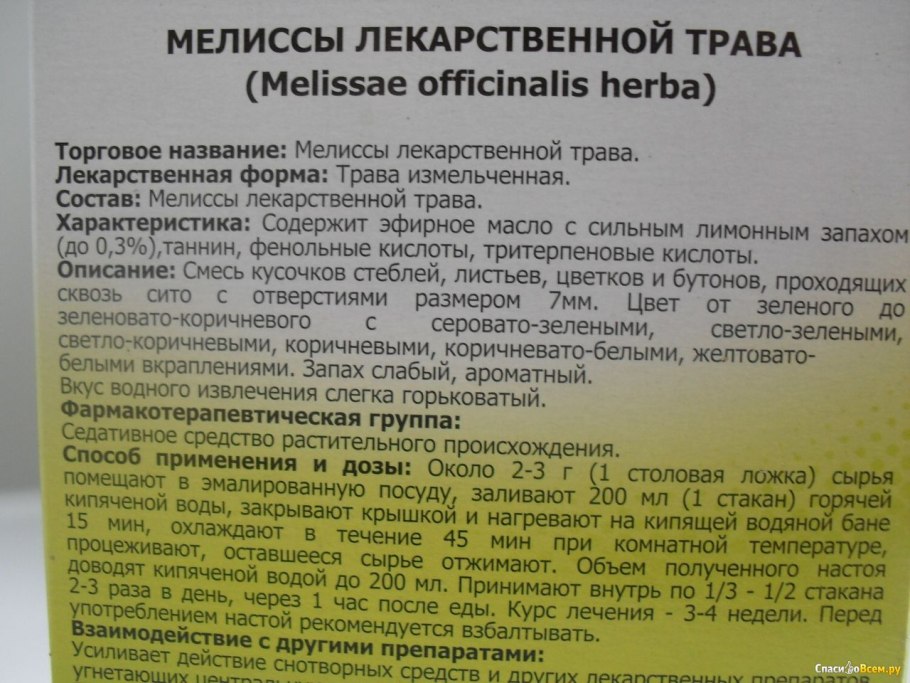 Мелисса лимонная русский огород
