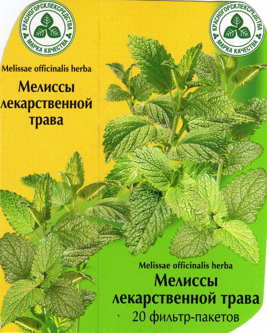 Мелисса Царицынская семена