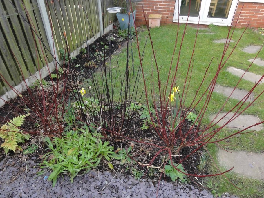 Дерен Кессельринги