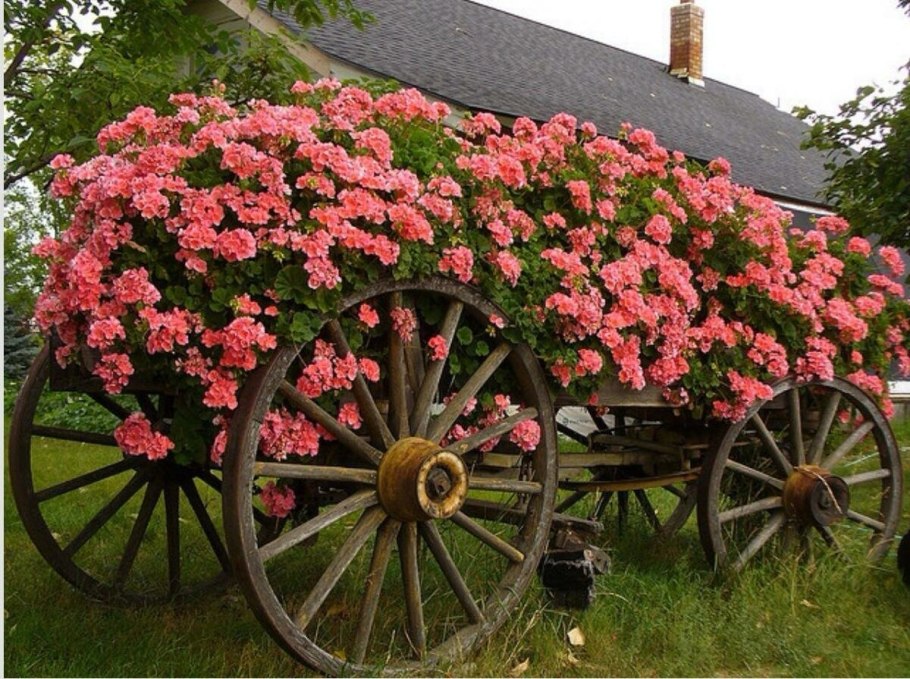 Телега в ландшафтном дизайне