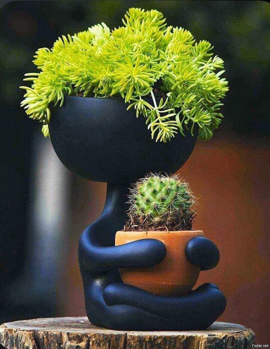 Необычные горшки для комнатных растений