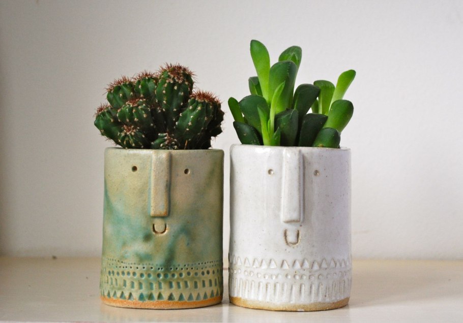 Cactus Pot горшки кактусы Суккуленты