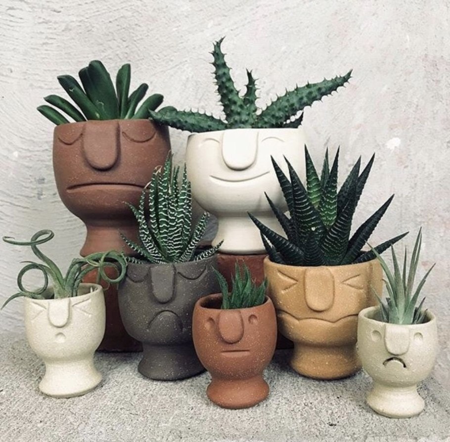 Необычные горшки для кактусов