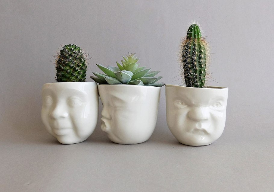 Горшок для кактусов плоский