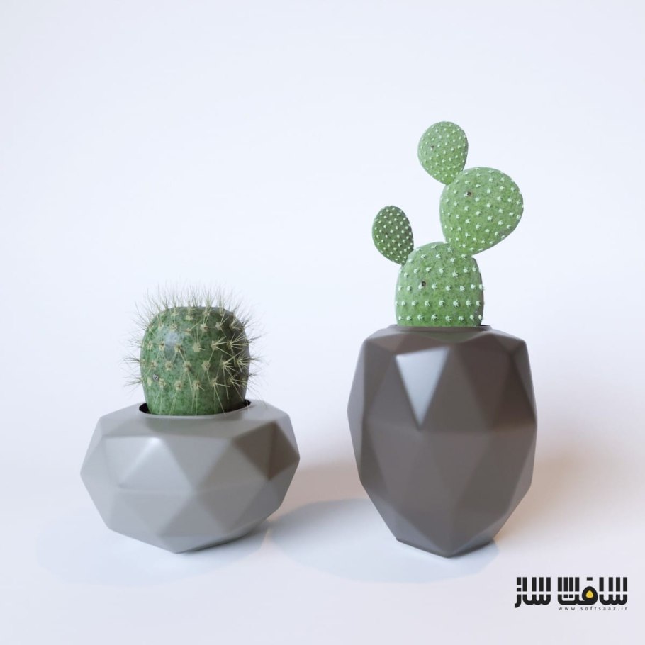 Декоративный Кактус в горшке