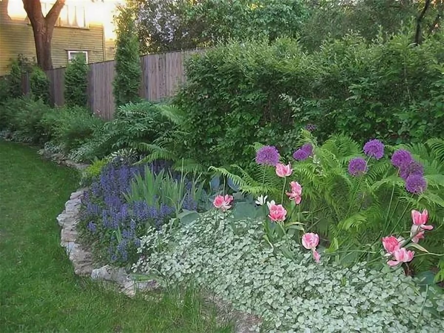 Живучка ползучая на клумбе