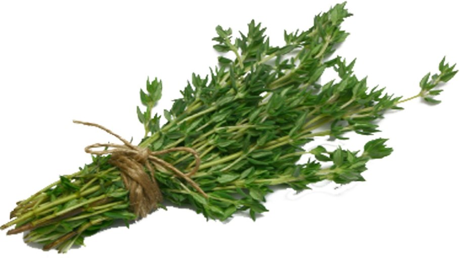 Чабрец зелень