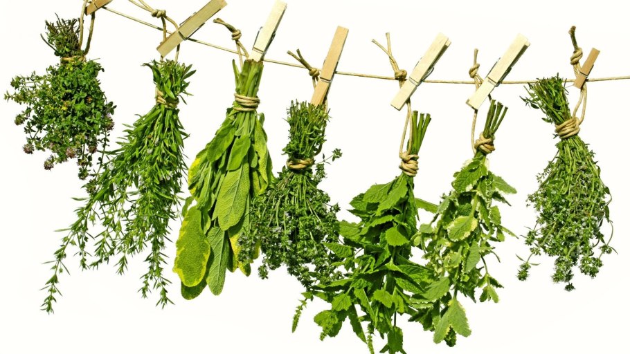 Лечебные травы