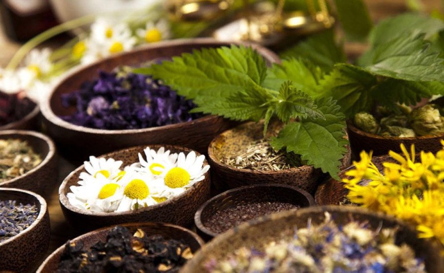 Душица, Мелисса, шалфей