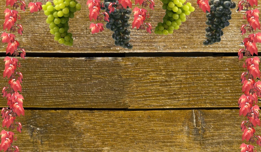 Виноград фон