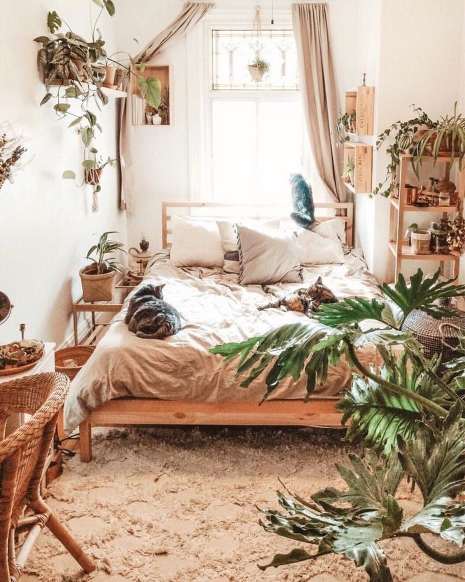 Спальная комната с растениями