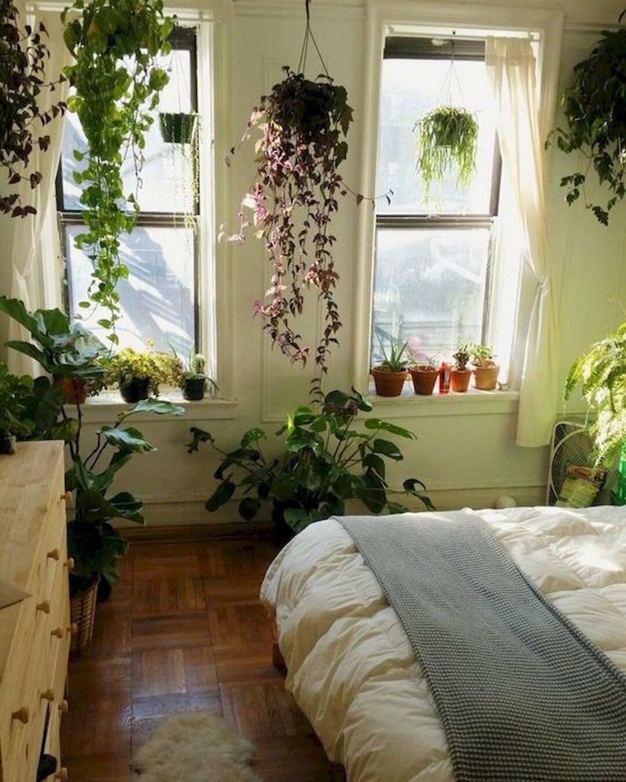 Комната с растениями