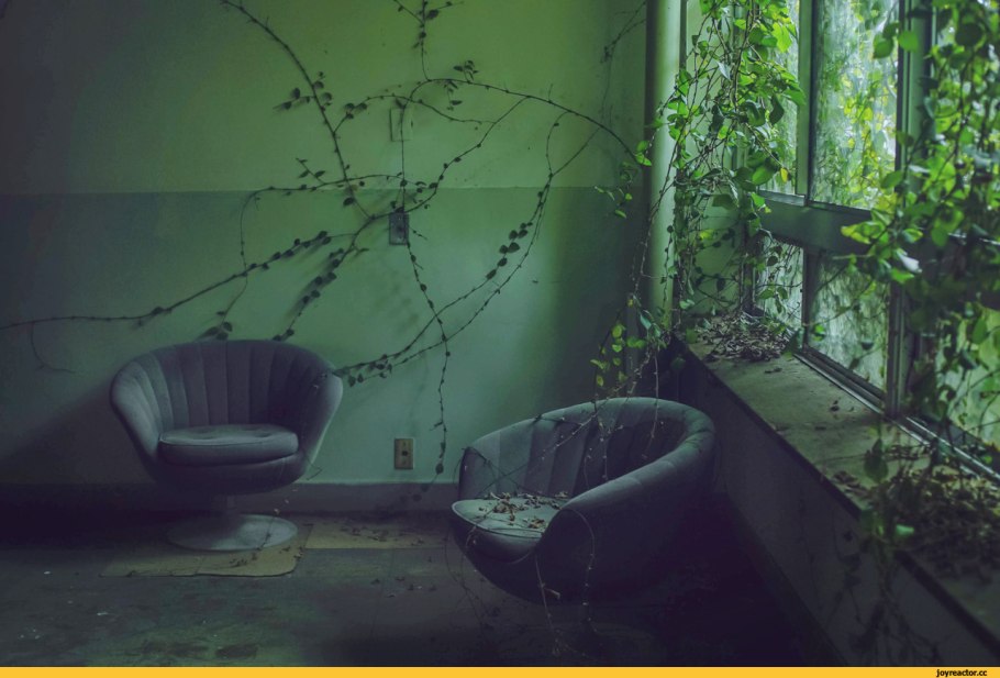 Комната с растениями