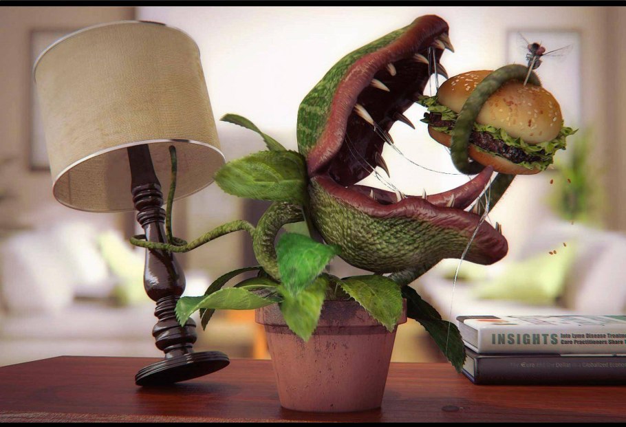 Смешные растения