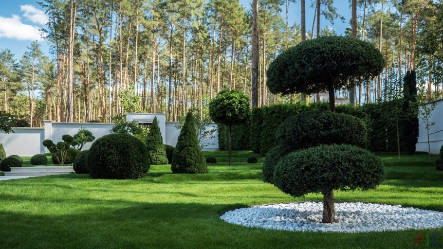 Хвойный садик в минималистическом стиле