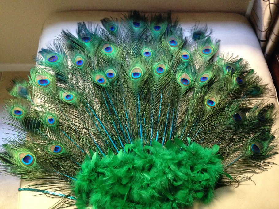 Поделка Павлин цвета