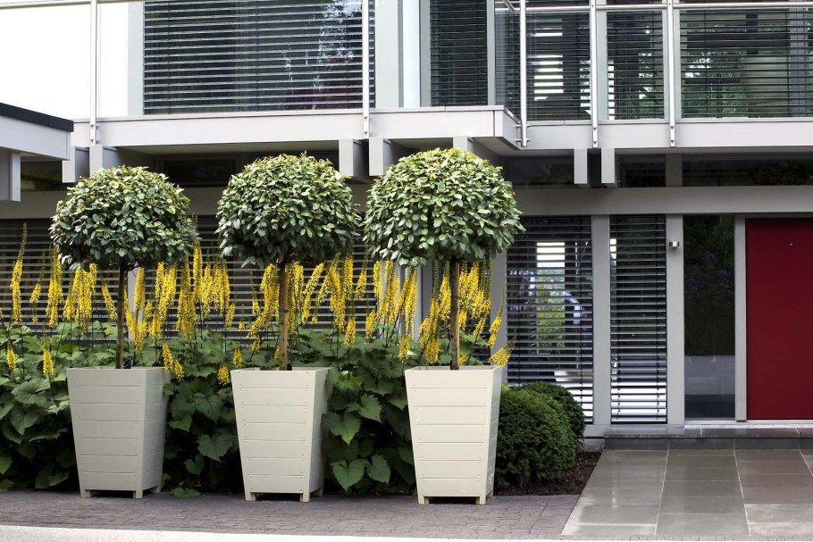 Контейнеры для озеленения