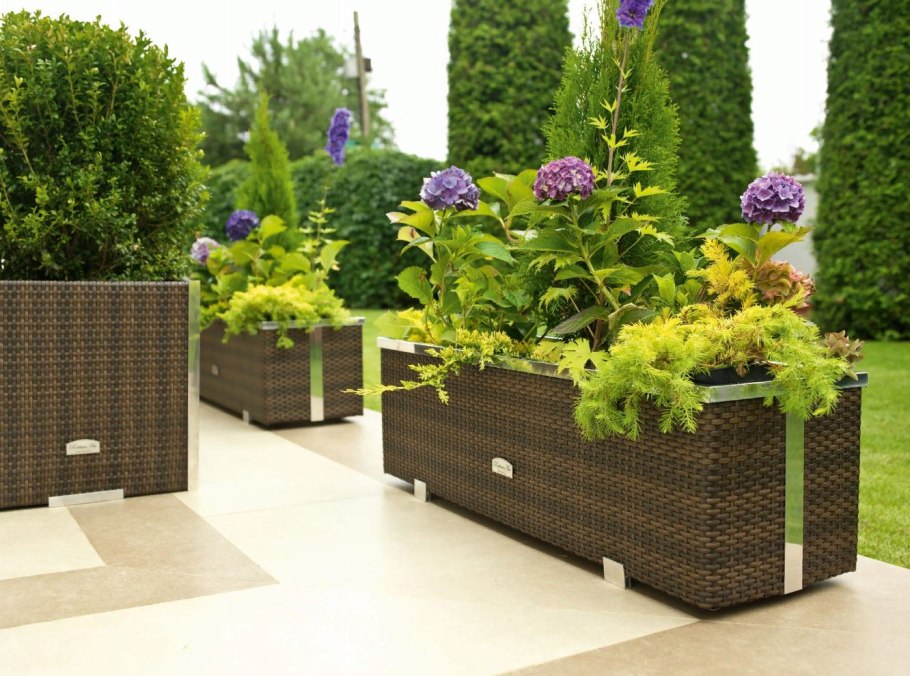 Контейнеры для озеленения