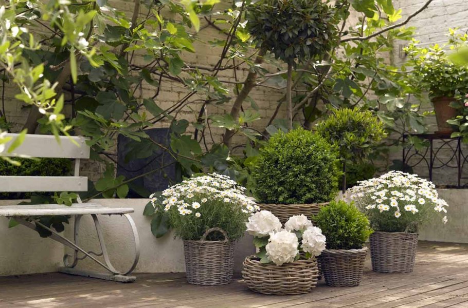 Кашпо для сада