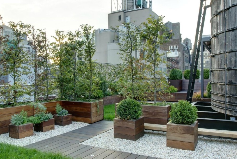 Кадочное Озеленение туи