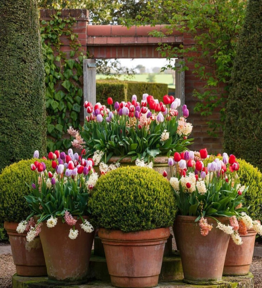 Контейнерное Озеленение