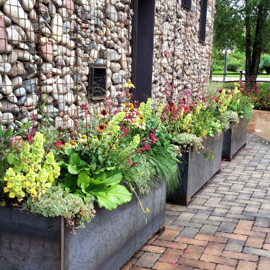 Прибалтика Озеленение