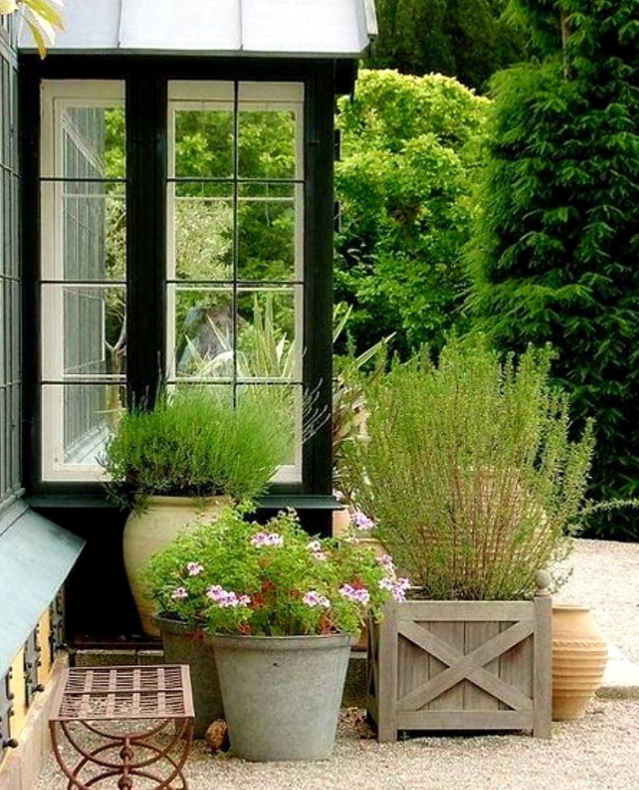 Контейнерный сад в ландшафтном дизайне