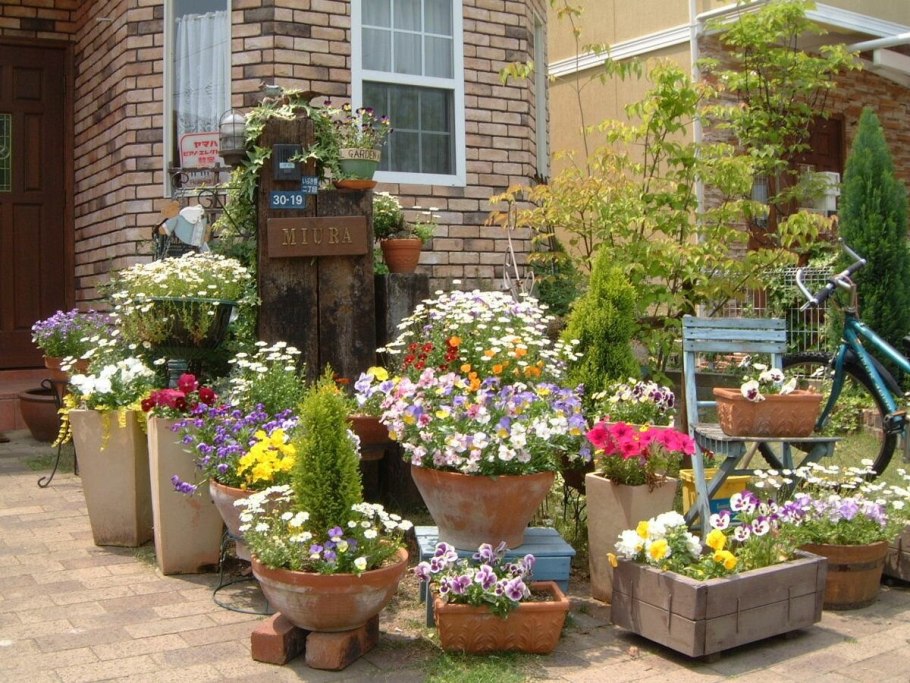 Клумба в горшке