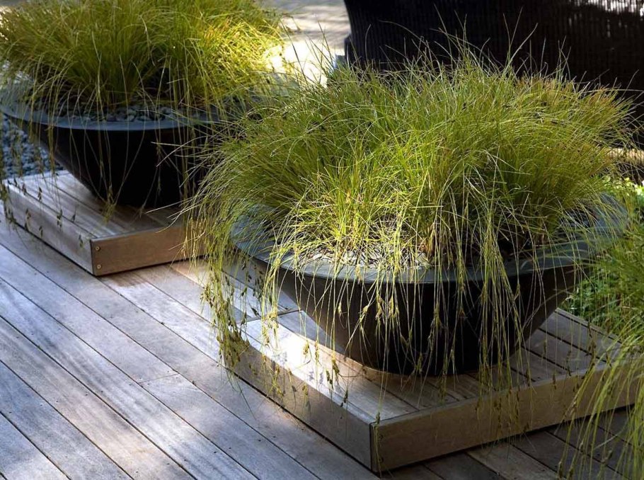 Злаки в контейнерах
