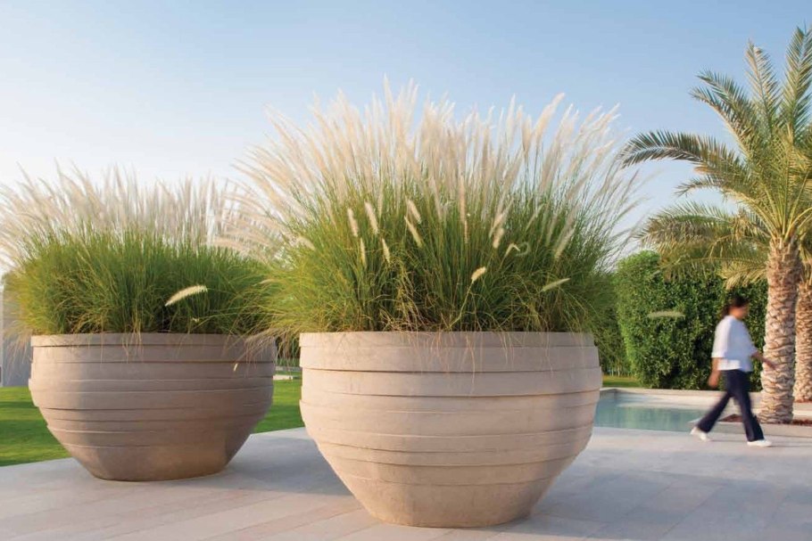 Контейнер для растений