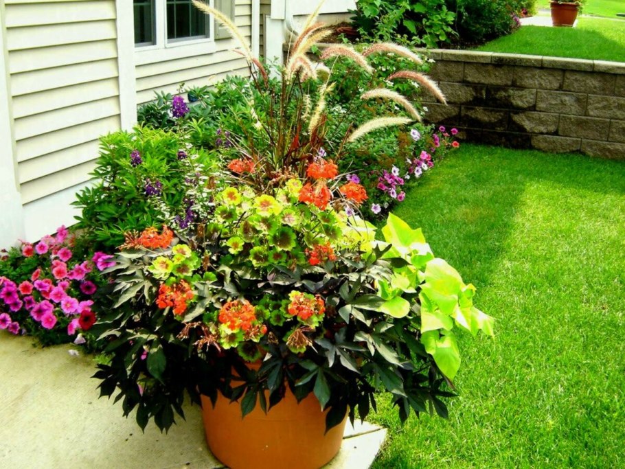 Контейнерное Озеленение патио