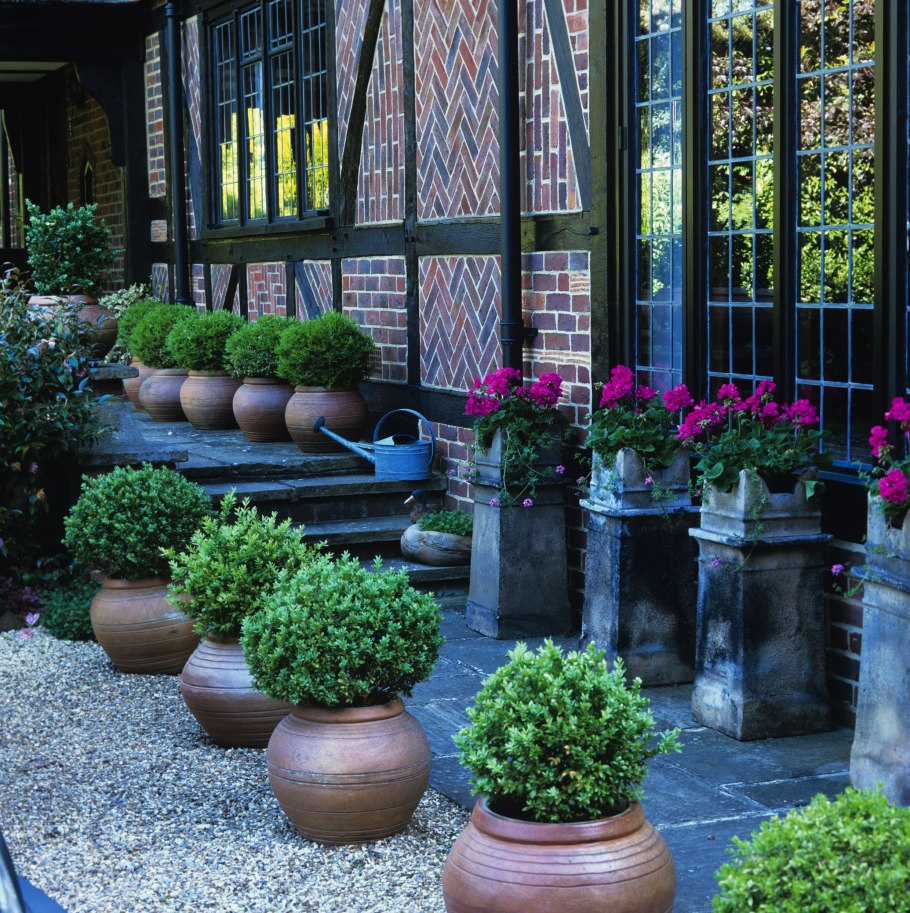 Ландшафт цветы в горшке