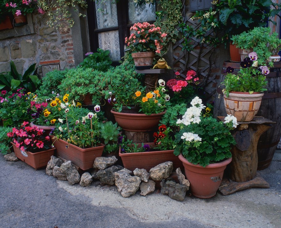 Клумба в горшке