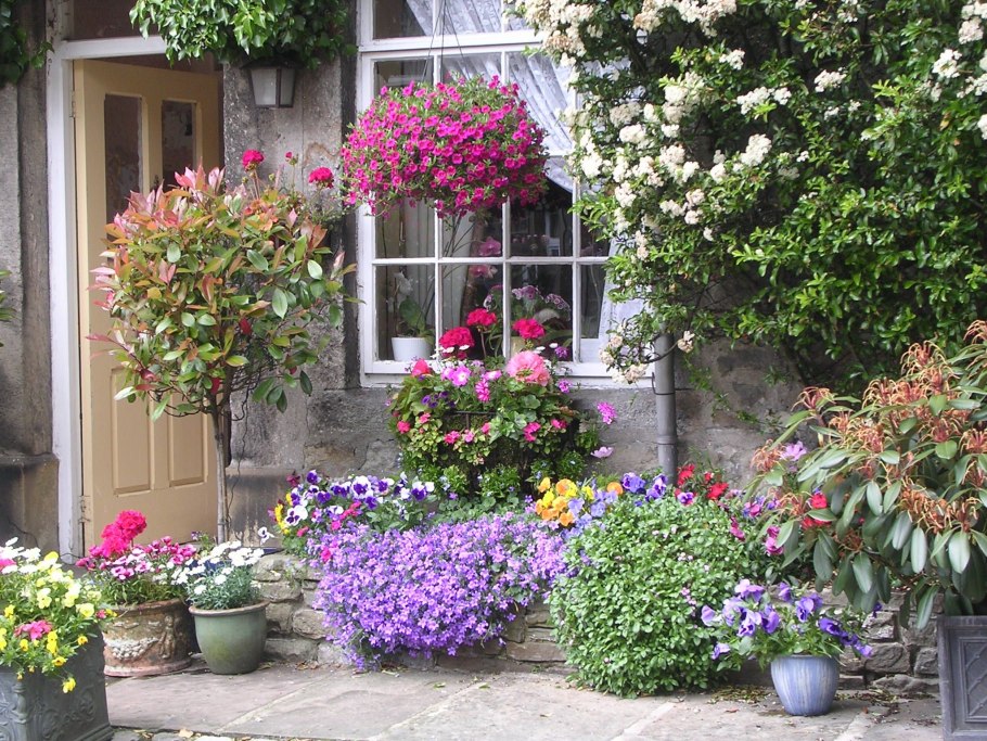 Палисадник в стиле Прованс