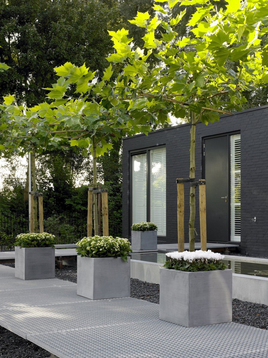 Контейнерное Озеленение патио