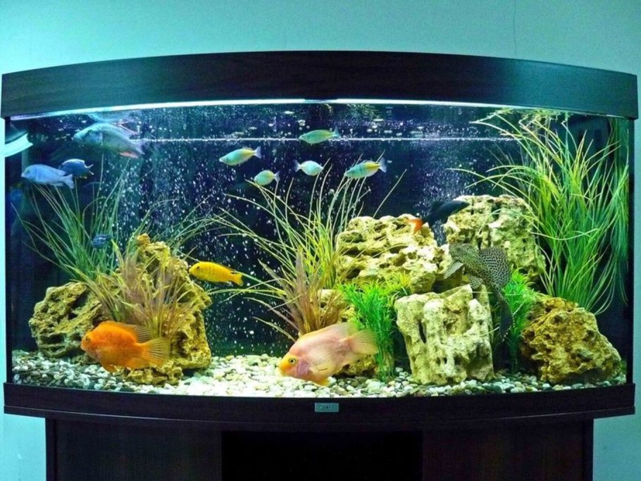 Красивый аквариум с искусственными растениями