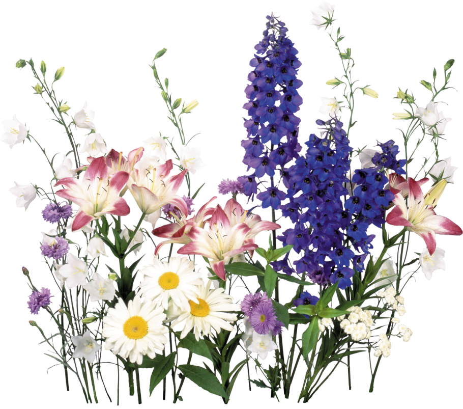 Букет из полевых цветов