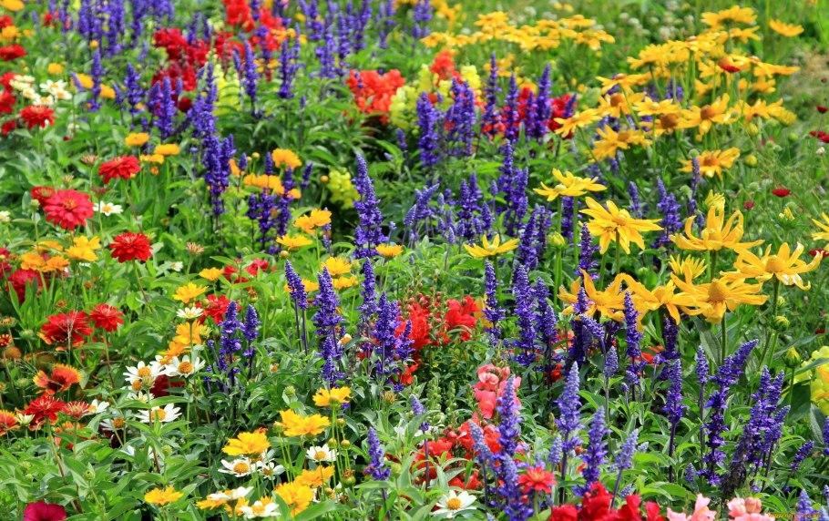 Здравствуй, август величавый! Здравствуй, барин-господин!