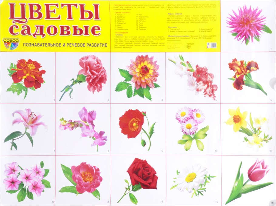 Плакат. Цветы