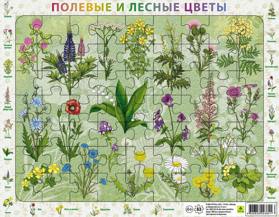 Полевые и Лесные цветы