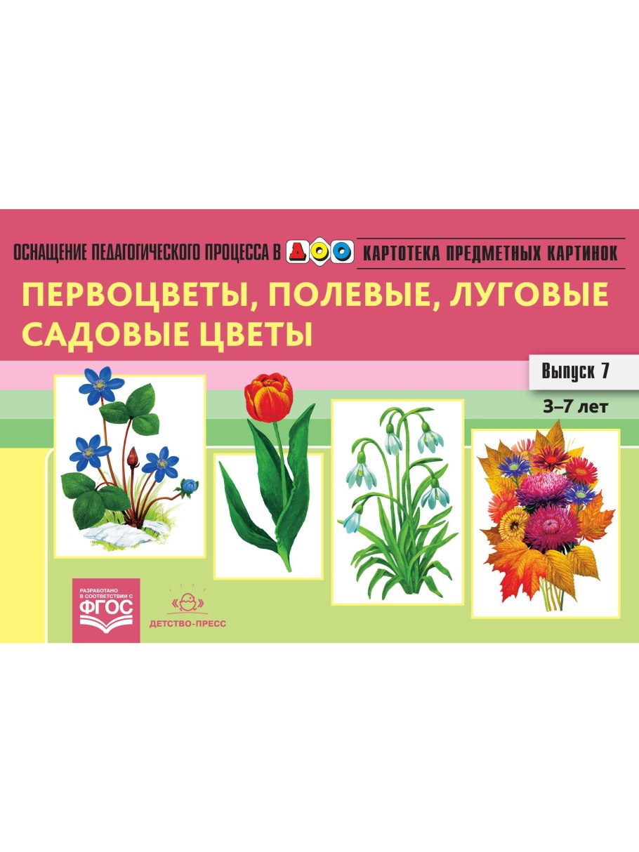 Карточки цветов