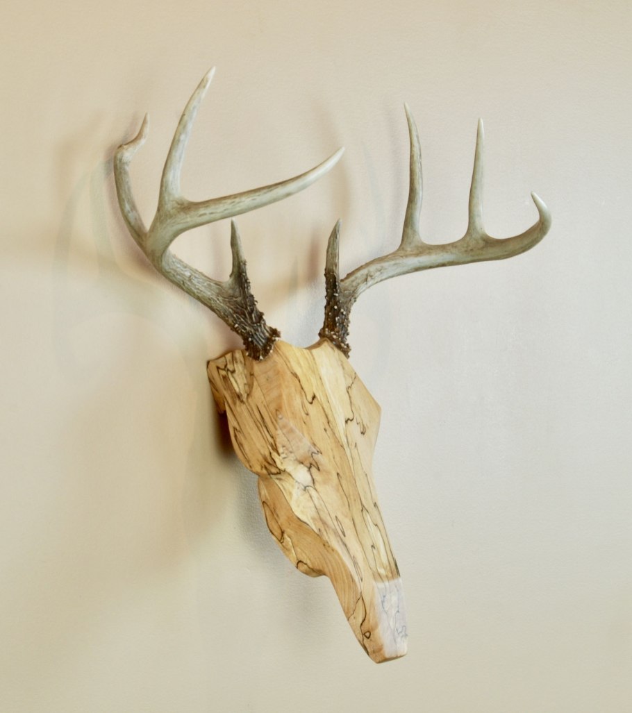 Жук олень спаривание