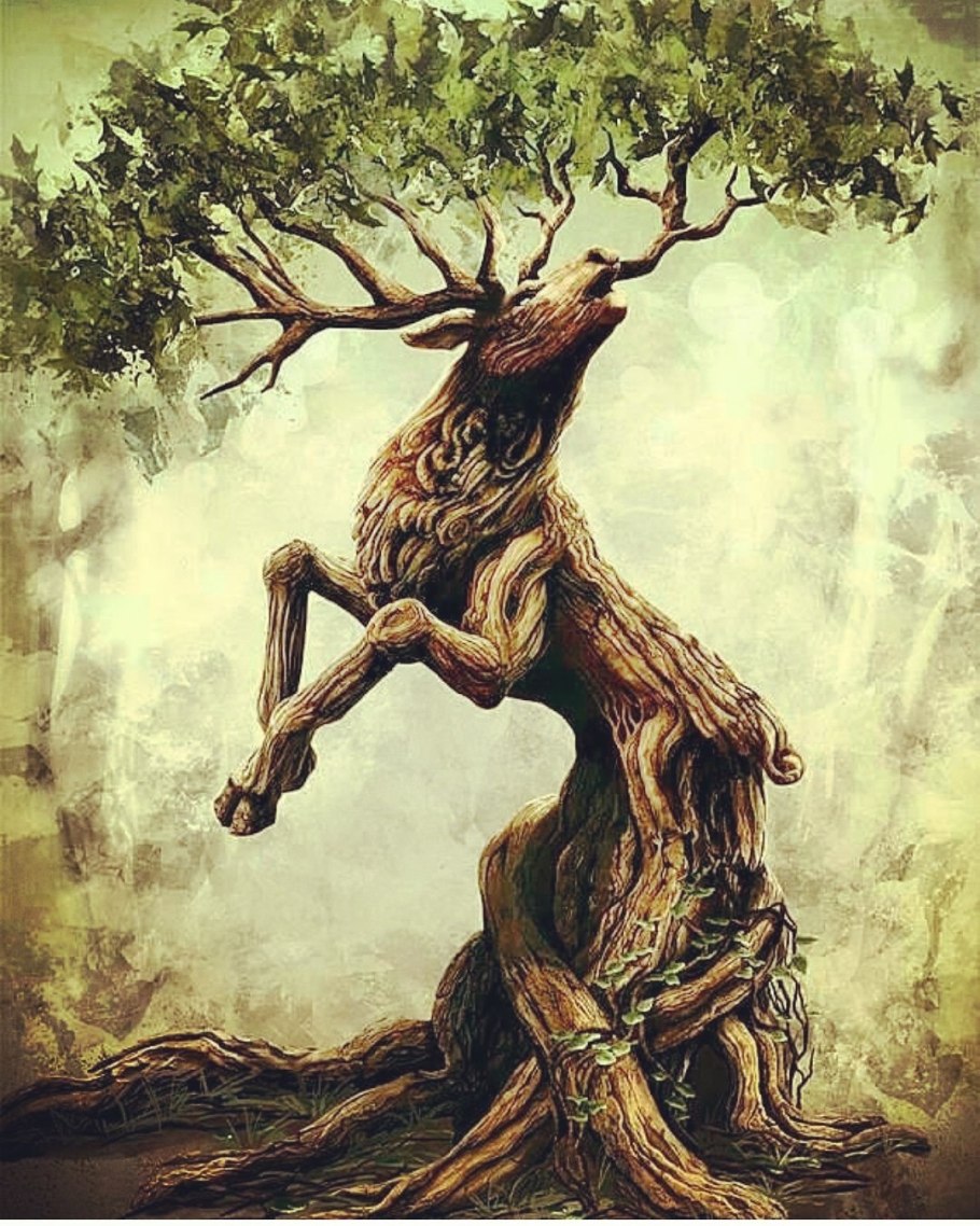 Носорог малый Жук