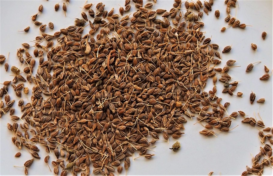 Анис сушеный и бадьян