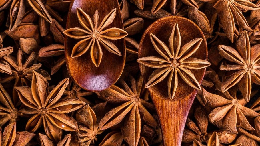 Бадьян и анис разница